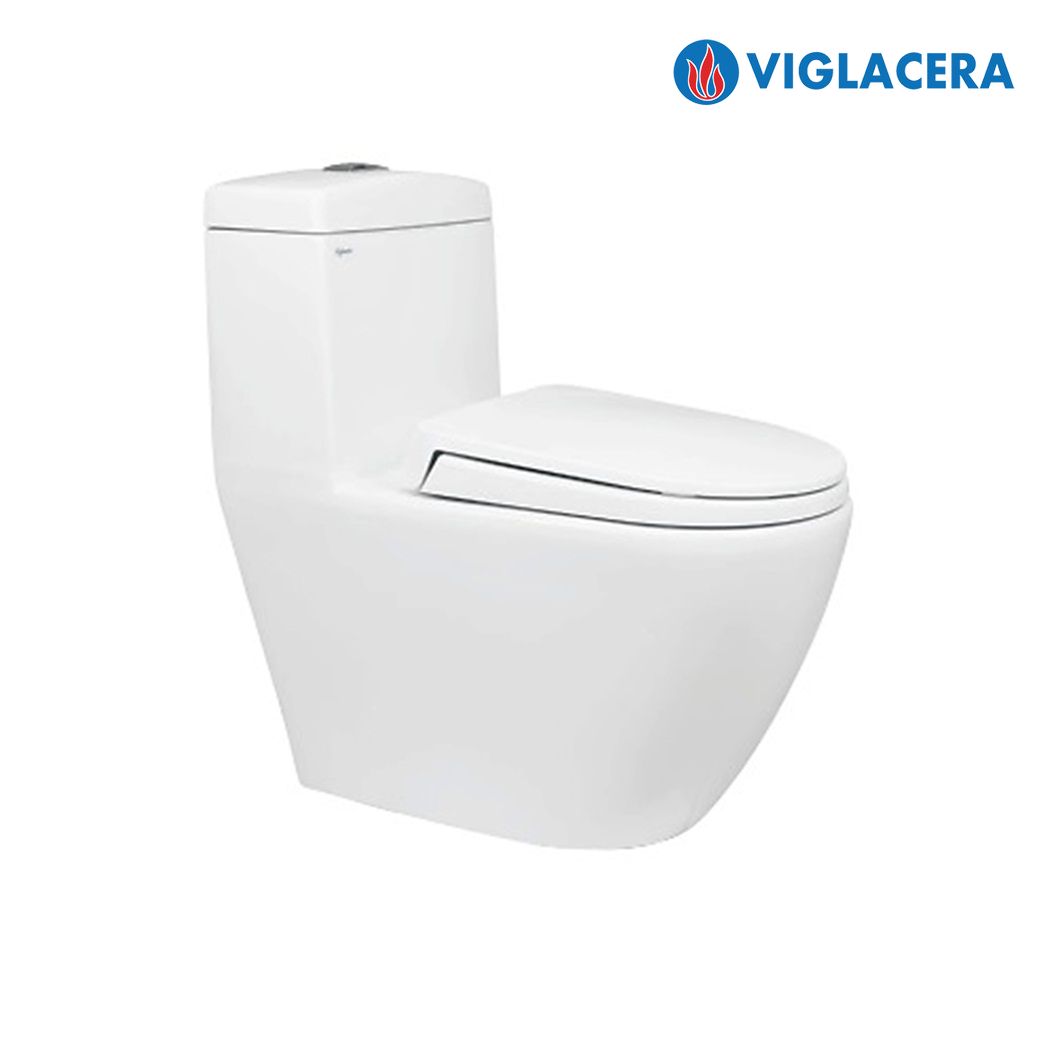 Bồn cầu sứ VIGLACERA V199